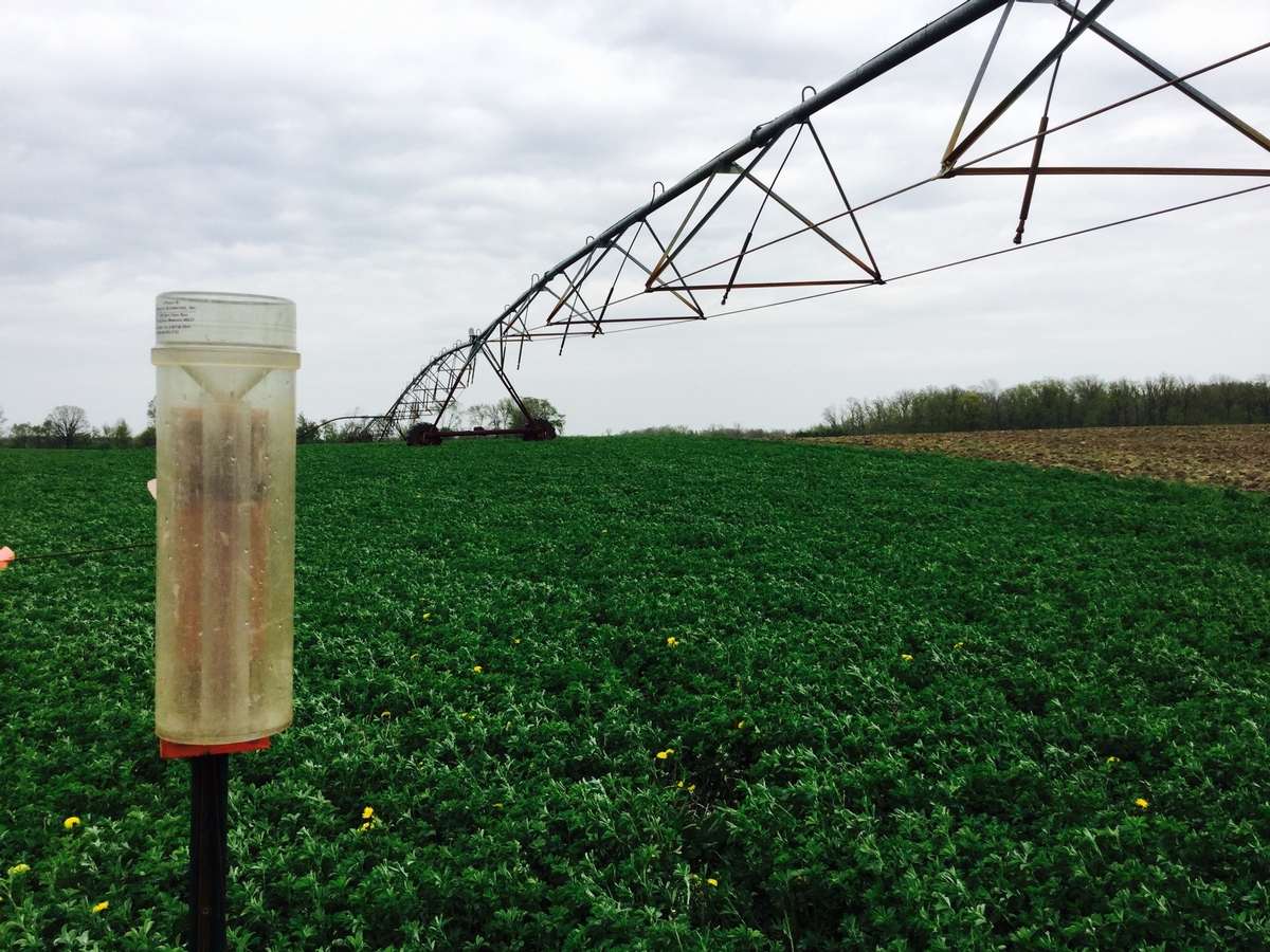 Image of raingauge and irrigation system.