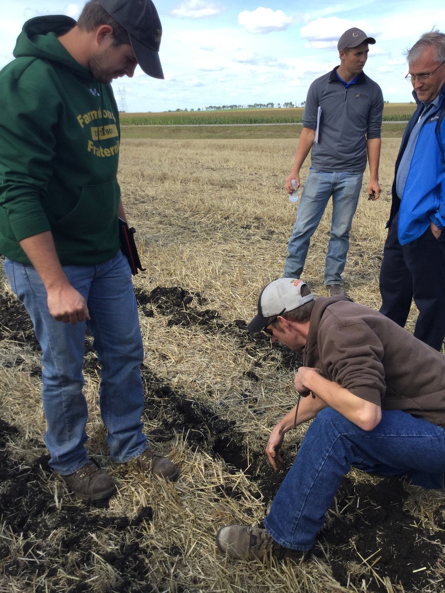 Image of a strip till demonstration.