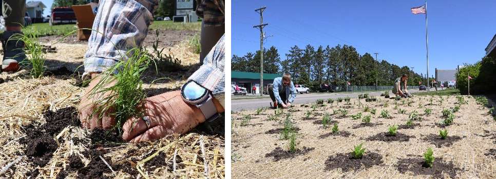 planting a native prairie garden at the eot swcd in perham