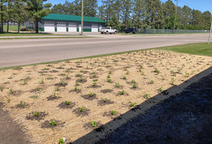 native pocket garden at EOT SWCD