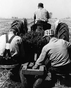 farming.1970.jpg