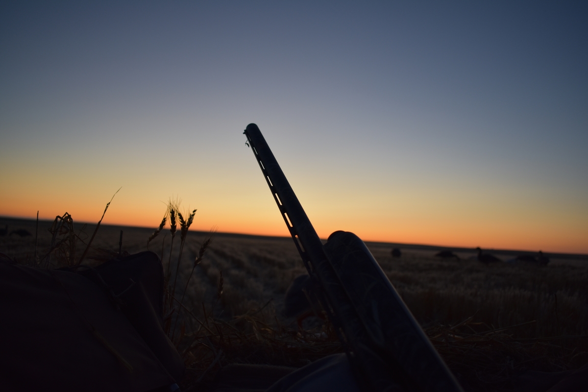 Gun Regulations/Firearm Information