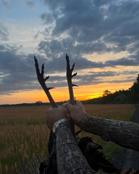 Turkey Season is About to Begin! 