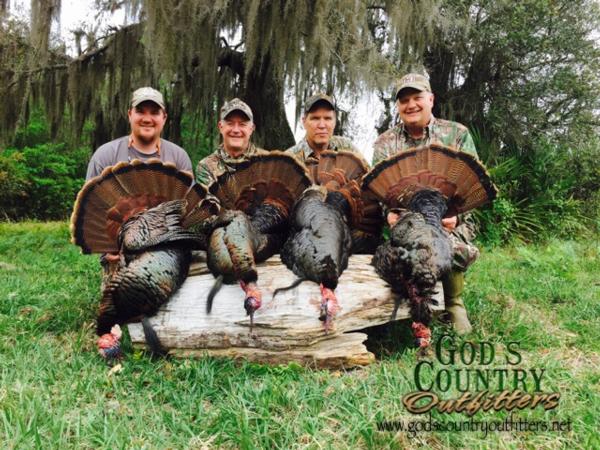 Florida turkey Hunt