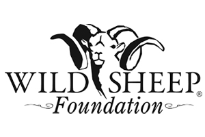 Wild Sheep Foundation