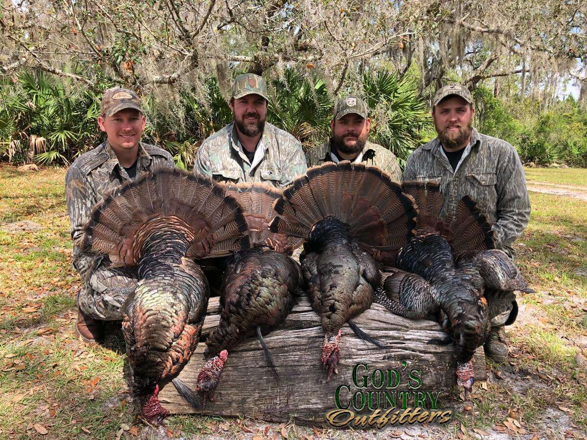 Florida Turkey Hunts