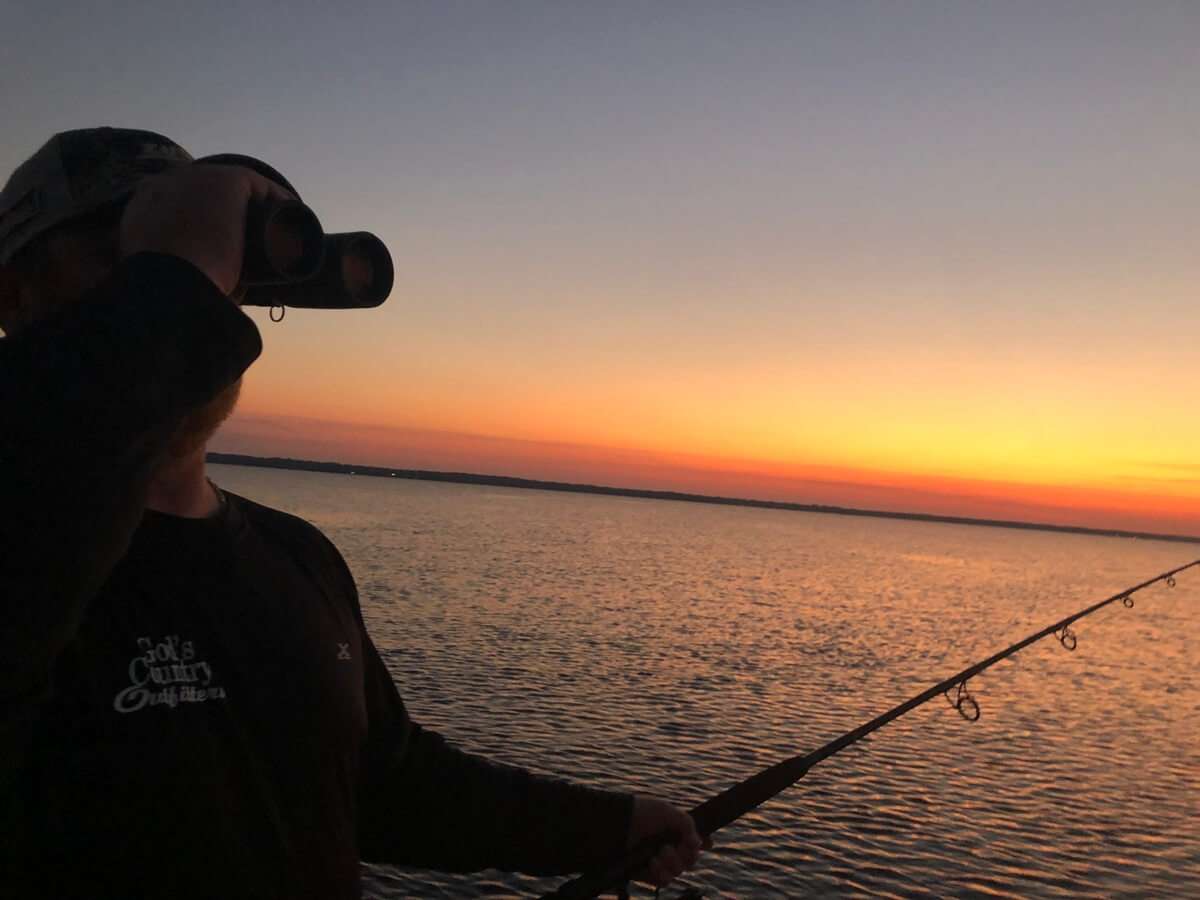 Night Alligator Hunt Florida