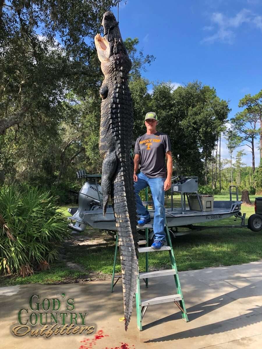 Gator Hunting in Florida