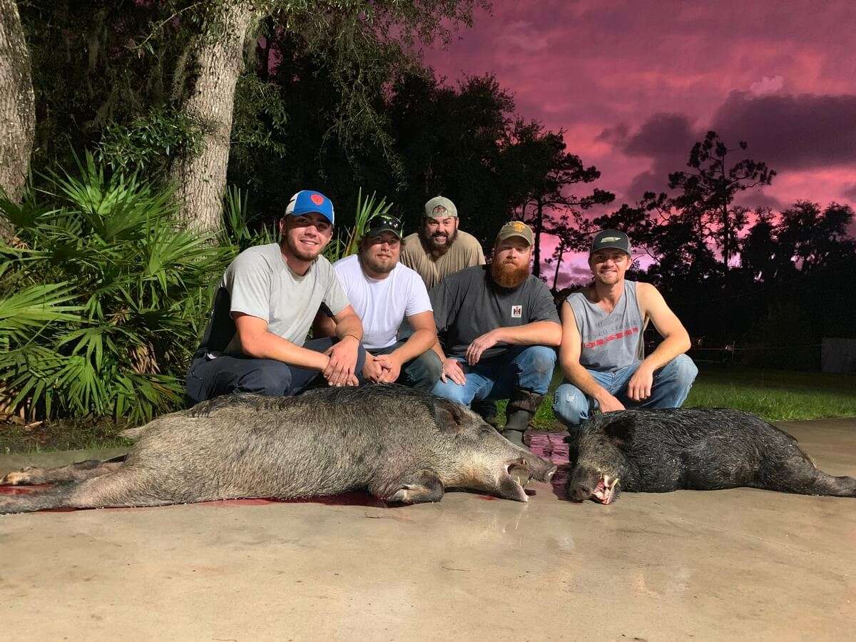 Florida Hog Hunting Outfitter