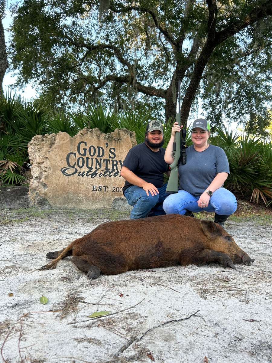 FL Hog Hunts