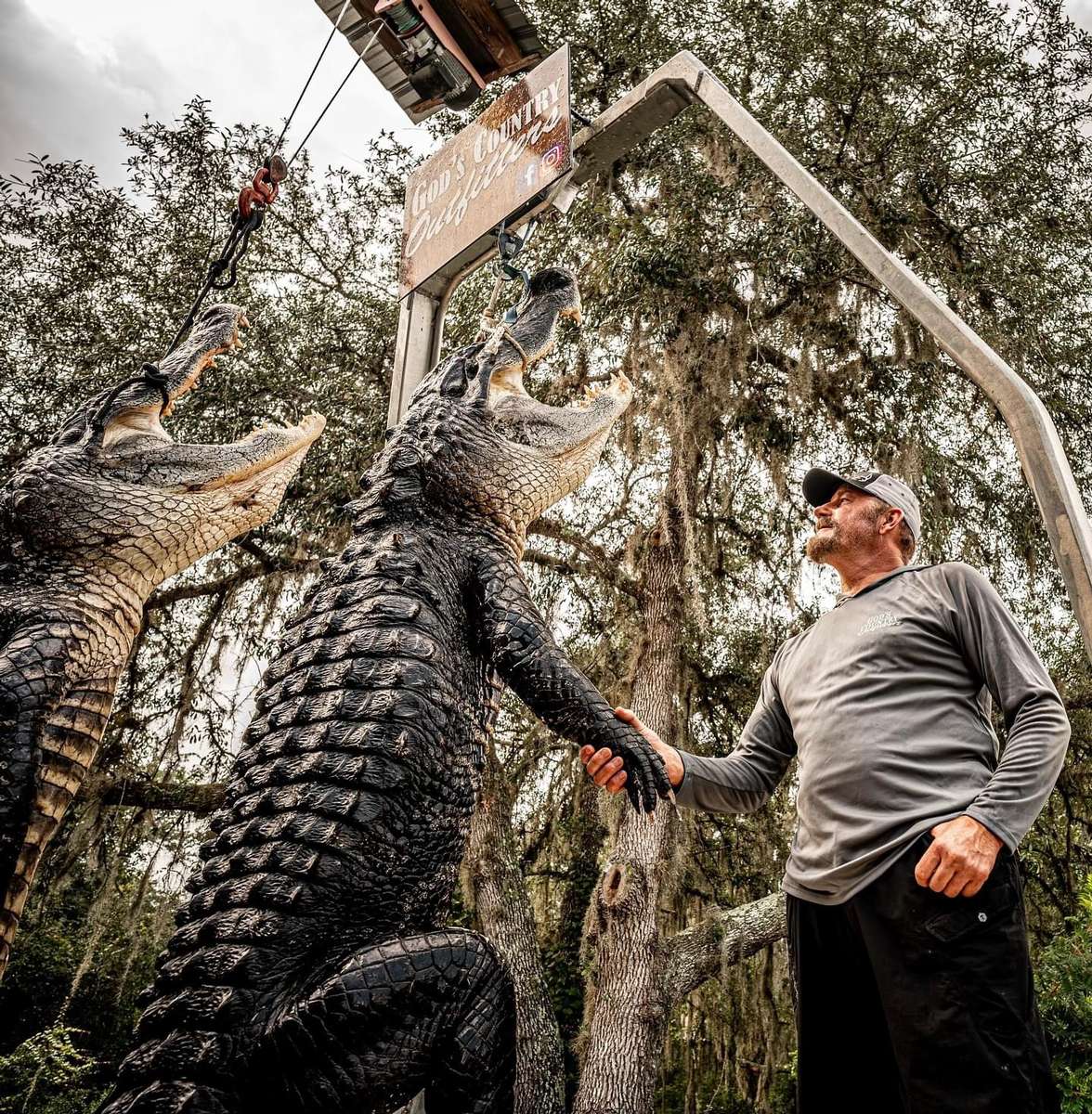 Alligator Hunting in Florida