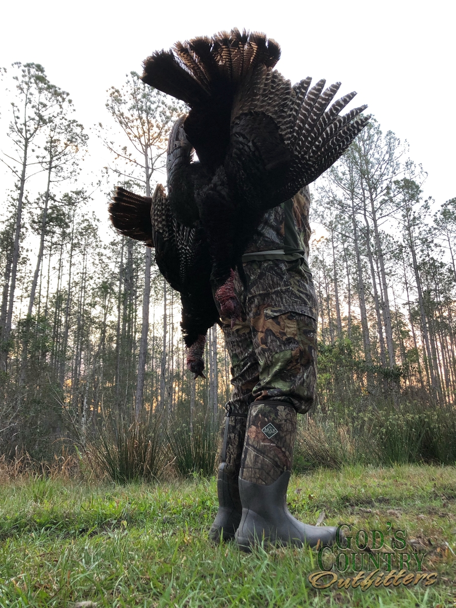 Turkey Hunts in FL