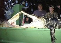 Florida-Alligator-Outfitter-6.jpg