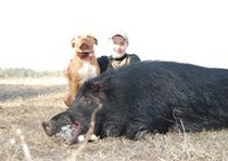 Florida-Hog-Outfitter-132.jpg