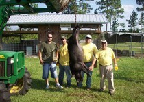 Florida-Hog-Outfitter-134.jpg