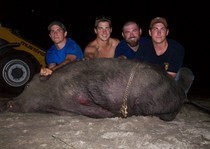 Florida-Hog-Outfitter-139.jpg