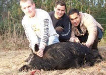 Florida-Hog-Outfitter-149.jpg