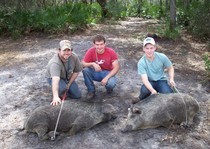 Florida-Hog-Outfitter-150.jpg