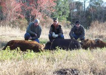 Florida-Hog-Outfitter-151.jpg