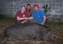 Florida-Hog-Outfitter-154.jpg