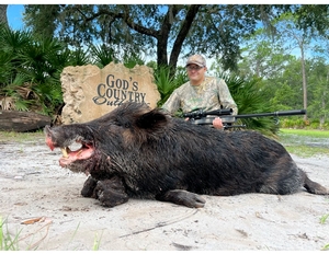 Hog-hunts.jpg