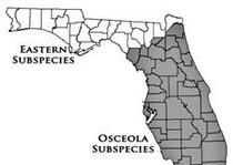 Sub Species Map