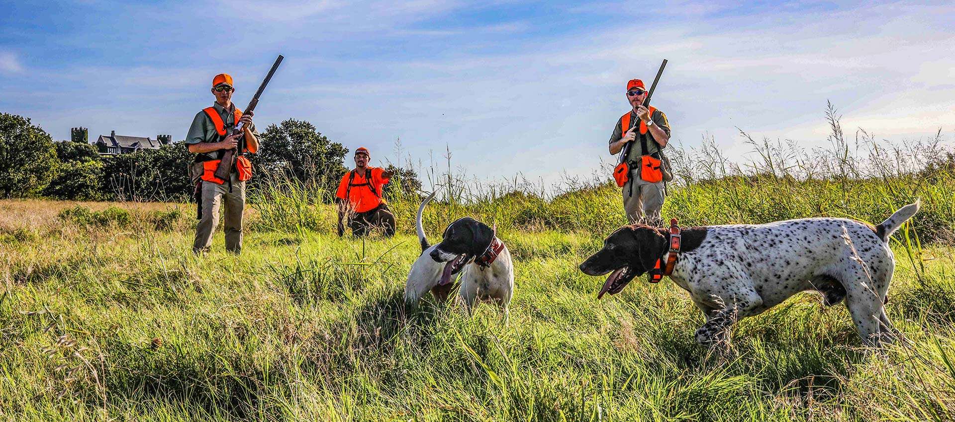 Upland Bird Hunting