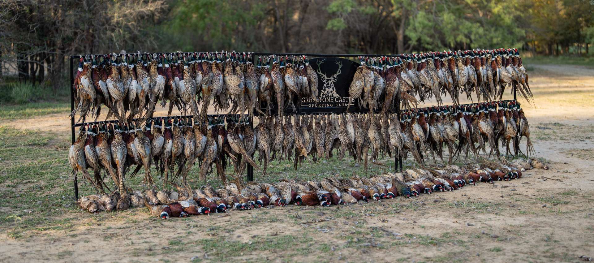 European Pheasant Shoots