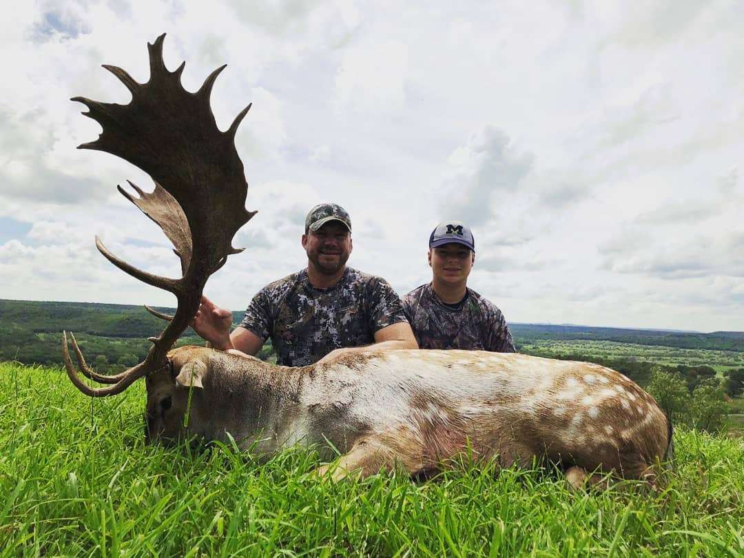 Fallow Deer in Texas