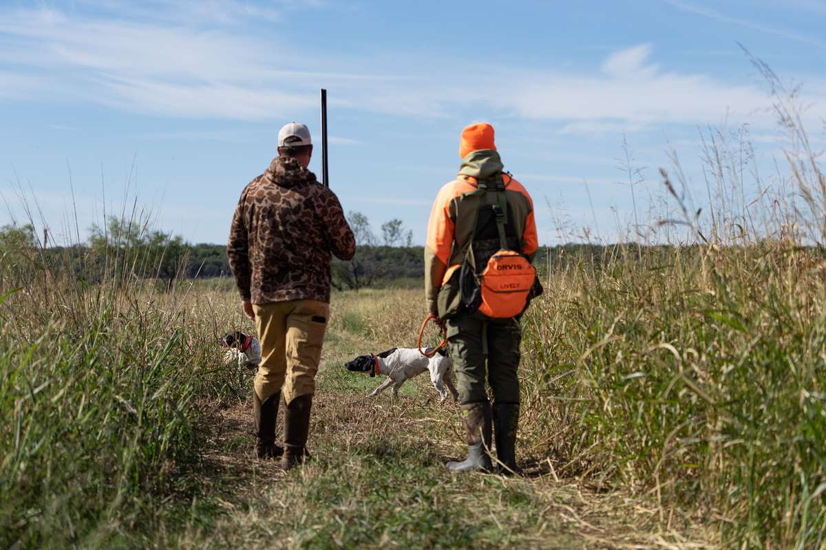 Upland Pheasant Hunting