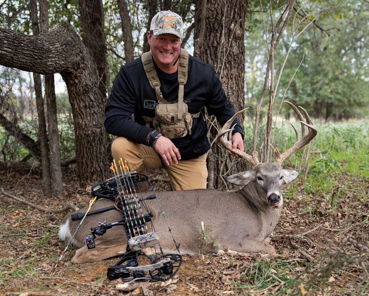 Texas Whitetail