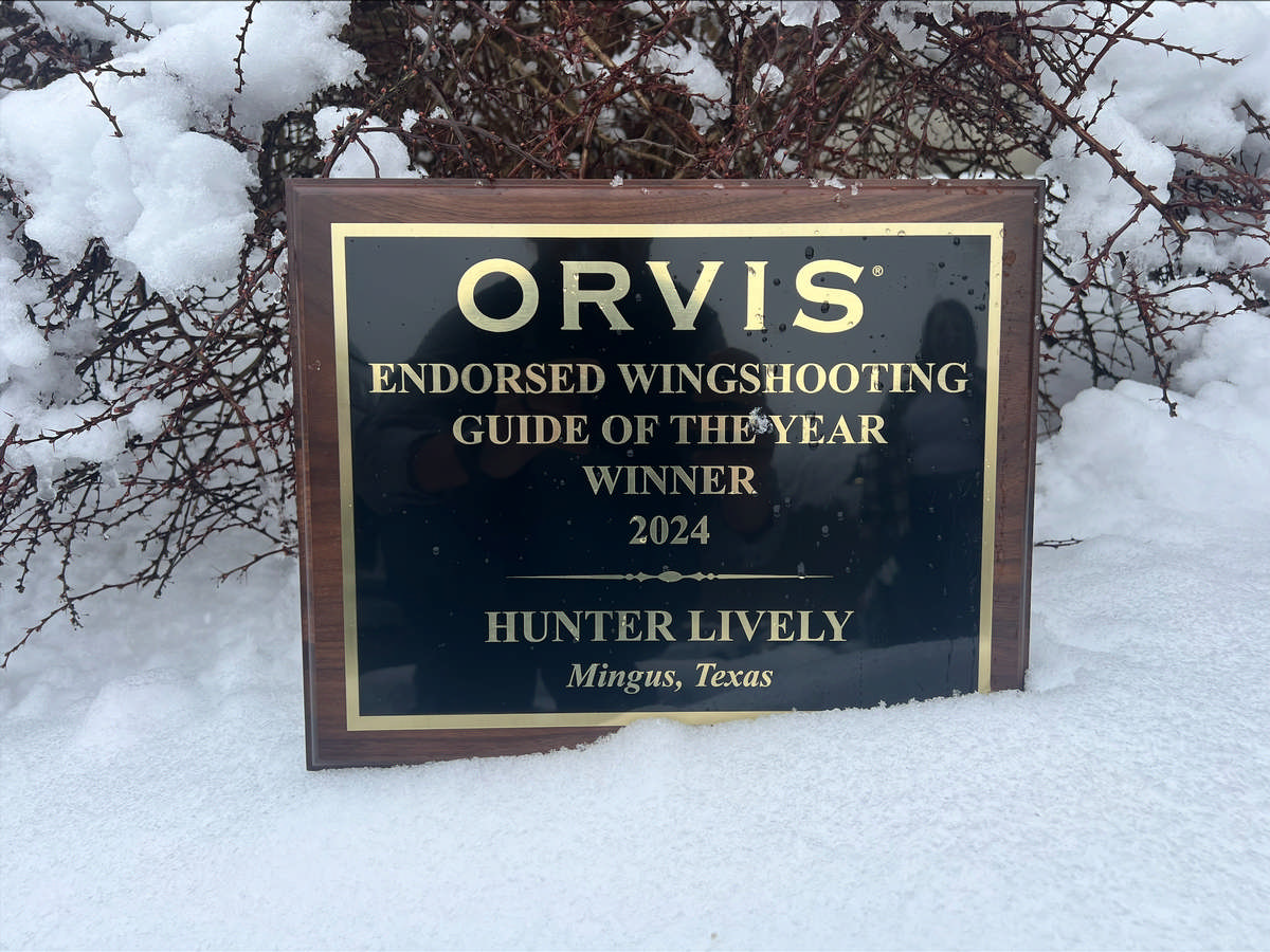 2024 Orvis Endorsed Wingshooting Guide of the Year