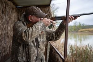 Flighted Mallard Hunting