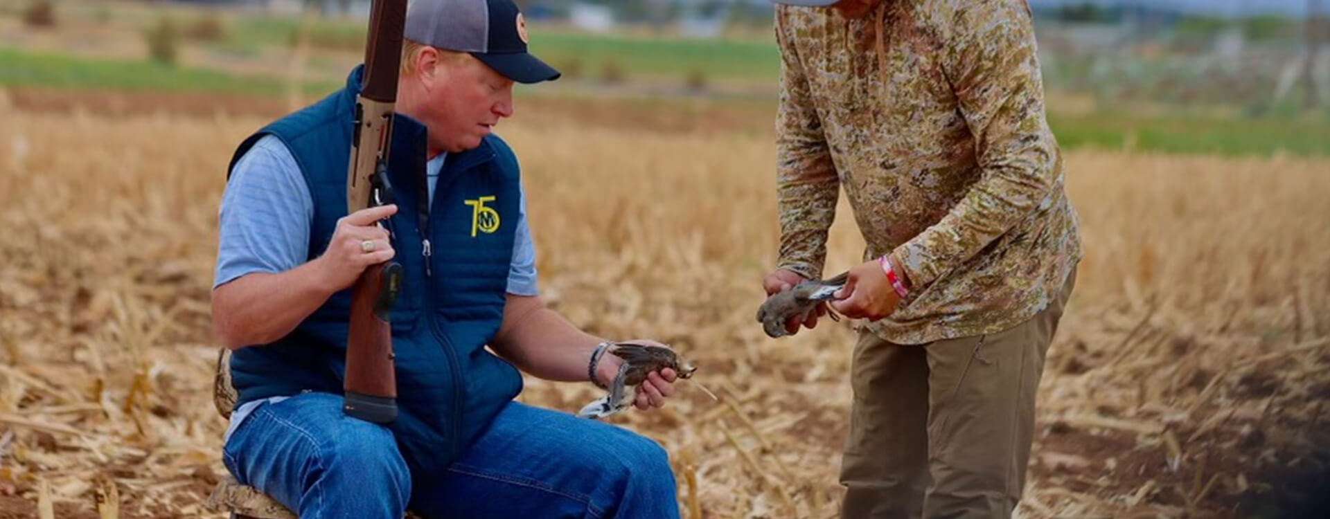 Dove Hunts