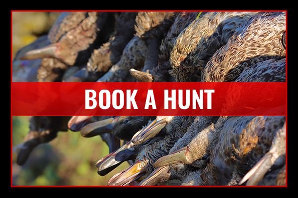 Book A Hunt