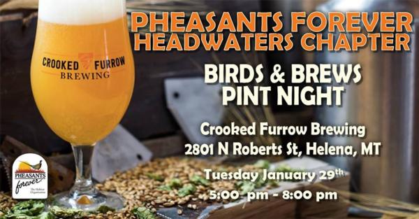 Birds and Brews Pint Night