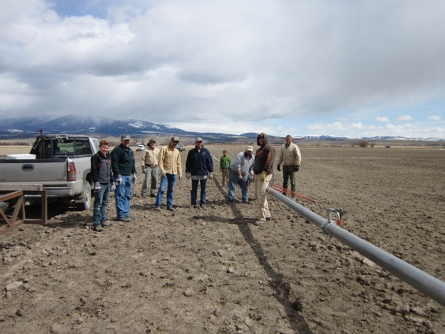 Local Chapter Habitat Projects