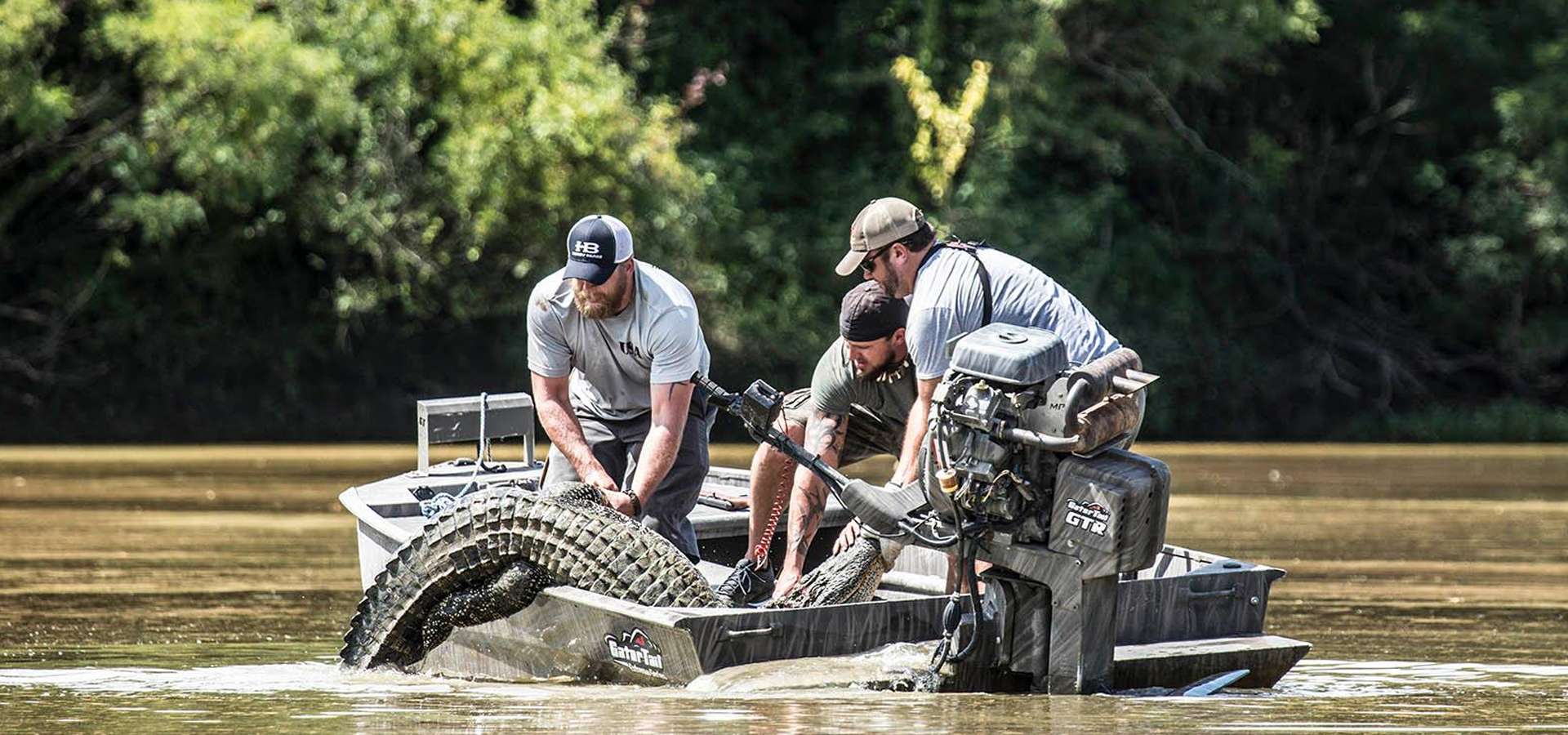 Guided Alligator Hunts in Louisiana