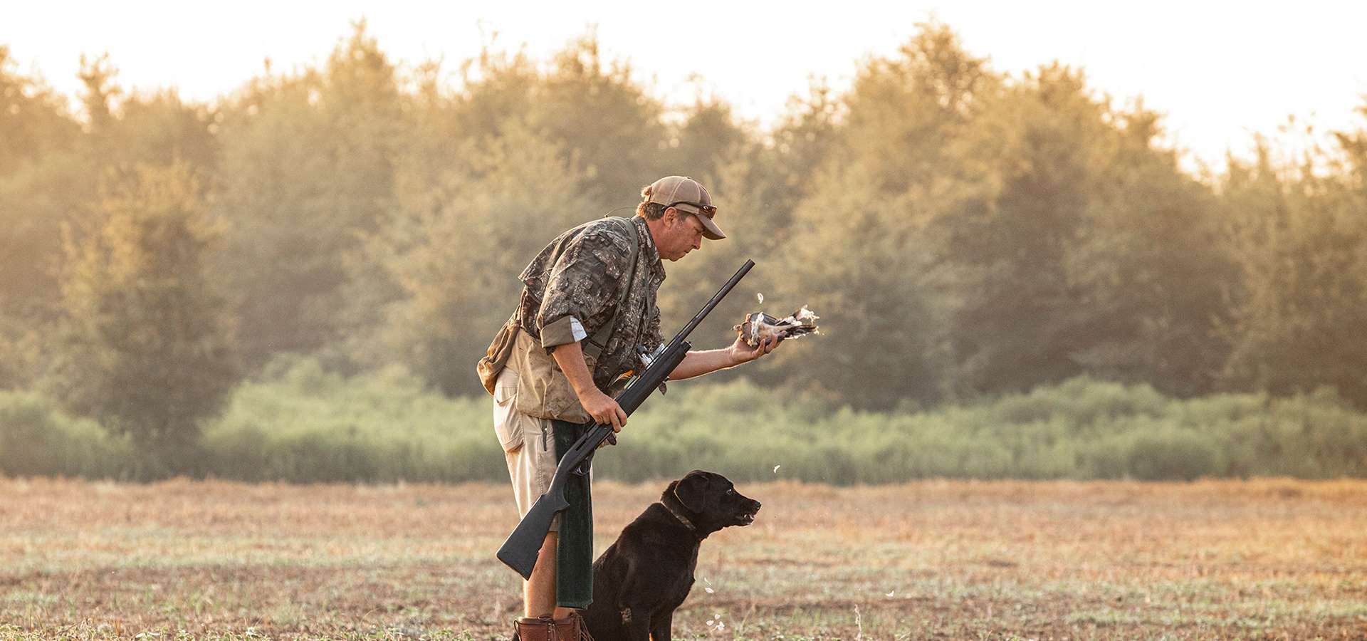 Guided Dove Hunts in Louisiana