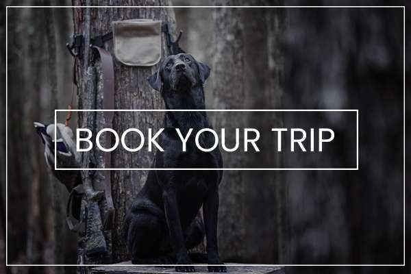 Book Your Trip With Honey Brake Lodge