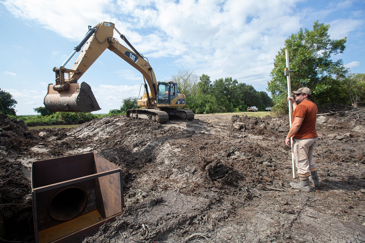 Conservation Efforts at Honey Brake