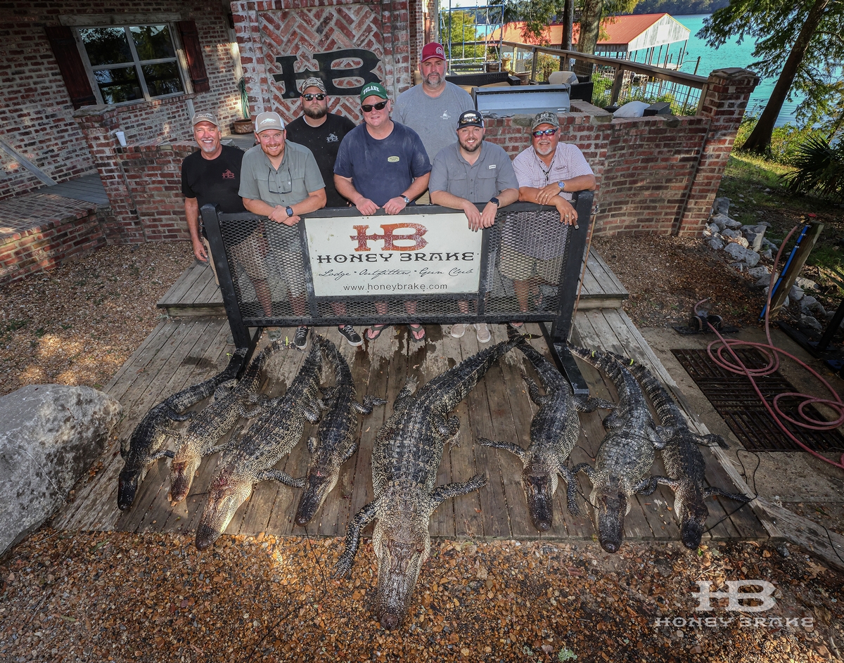 Alligator Hunting Alligator Hunting