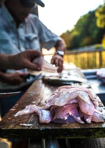 crappie%20filets.jpg