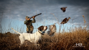 quail-hunt-la1.jpg