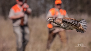 quail-hunting-lodge.jpg