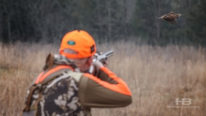 quail-hunting-louisiana-21.jpg