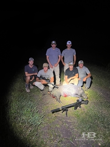 thermal-hog-hunt-2.jpg