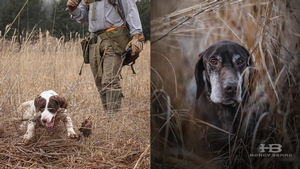 upland-hunt-louisiana.jpg
