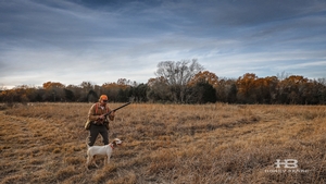 upland-hunting-louisiana.jpg
