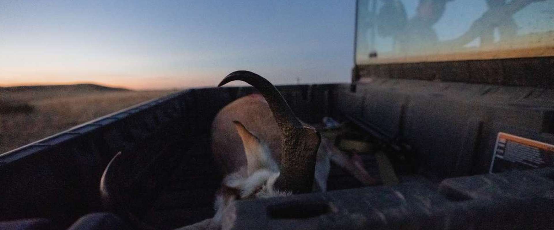 South Dakota Pronghorn Antelope Hunting